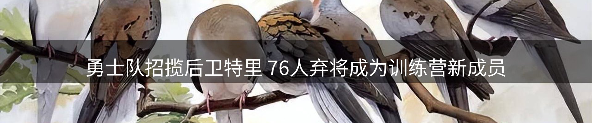企业汇总